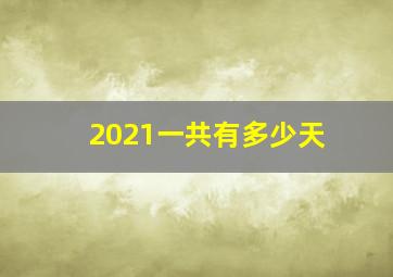 2021一共有多少天