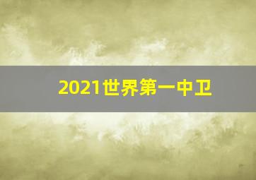 2021世界第一中卫