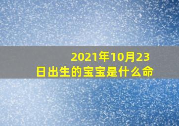 2021年10月23日出生的宝宝是什么命