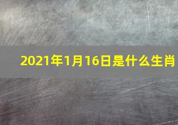 2021年1月16日是什么生肖