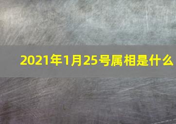 2021年1月25号属相是什么