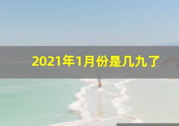 2021年1月份是几九了