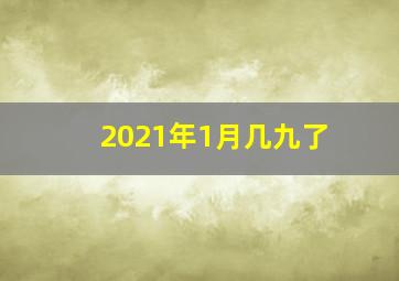 2021年1月几九了