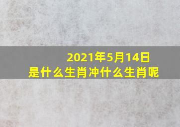 2021年5月14日是什么生肖冲什么生肖呢