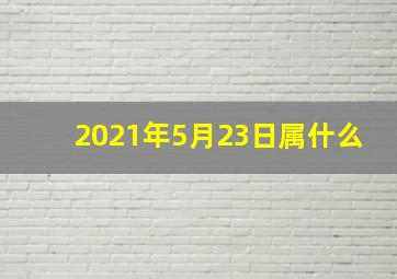 2021年5月23日属什么