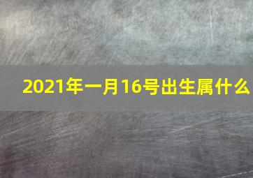 2021年一月16号出生属什么