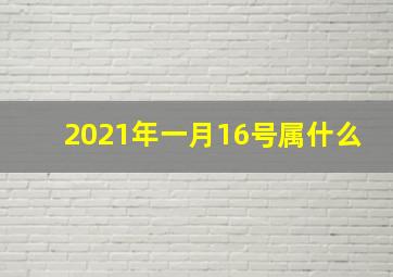 2021年一月16号属什么