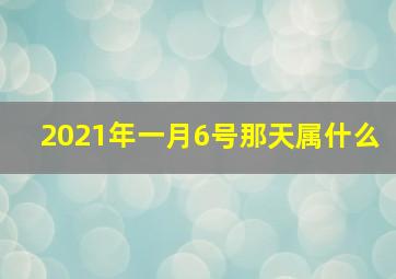 2021年一月6号那天属什么