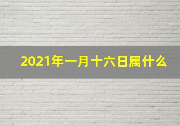 2021年一月十六日属什么