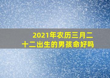 2021年农历三月二十二出生的男孩命好吗