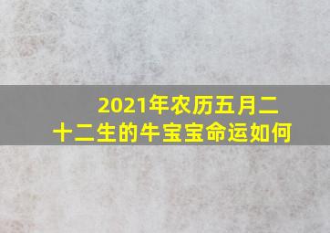 2021年农历五月二十二生的牛宝宝命运如何