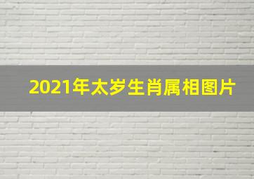 2021年太岁生肖属相图片