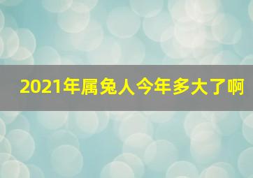 2021年属兔人今年多大了啊