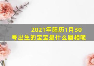 2021年阳历1月30号出生的宝宝是什么属相呢