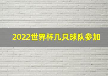 2022世界杯几只球队参加