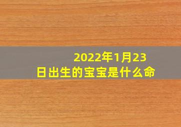 2022年1月23日出生的宝宝是什么命