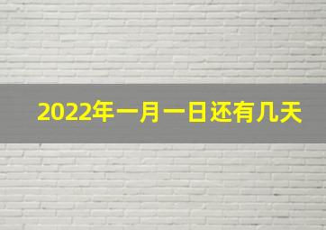 2022年一月一日还有几天