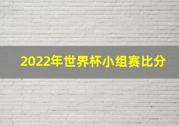 2022年世界杯小组赛比分