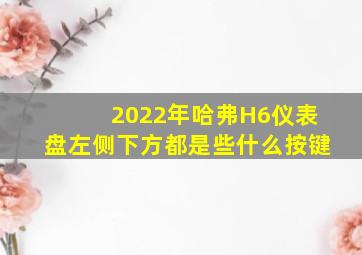 2022年哈弗H6仪表盘左侧下方都是些什么按键