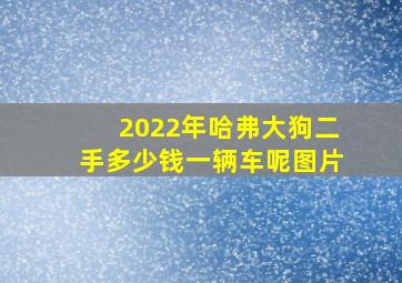 2022年哈弗大狗二手多少钱一辆车呢图片