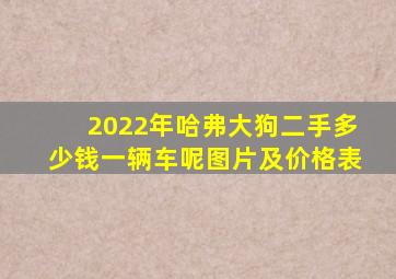 2022年哈弗大狗二手多少钱一辆车呢图片及价格表