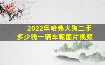 2022年哈弗大狗二手多少钱一辆车呢图片视频