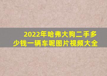 2022年哈弗大狗二手多少钱一辆车呢图片视频大全