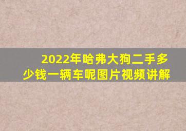 2022年哈弗大狗二手多少钱一辆车呢图片视频讲解