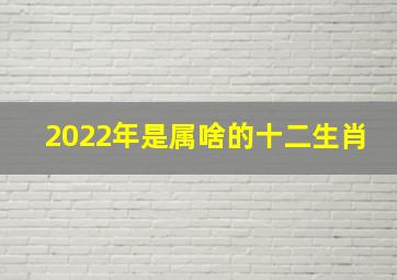 2022年是属啥的十二生肖