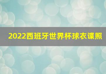 2022西班牙世界杯球衣谍照