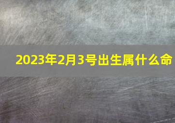 2023年2月3号出生属什么命