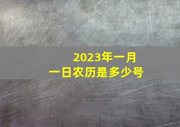 2023年一月一日农历是多少号