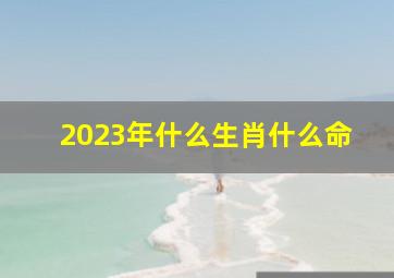 2023年什么生肖什么命