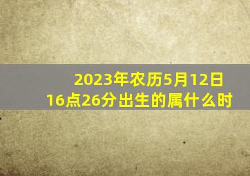 2023年农历5月12日16点26分出生的属什么时