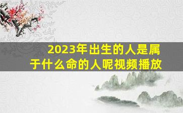 2023年出生的人是属于什么命的人呢视频播放