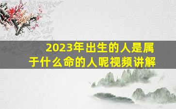 2023年出生的人是属于什么命的人呢视频讲解