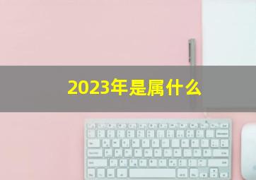 2023年是属什么