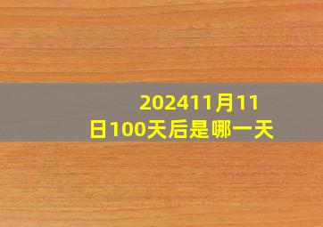 202411月11日100天后是哪一天