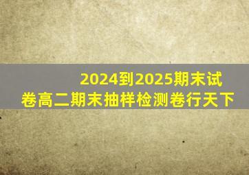 2024到2025期末试卷高二期末抽样检测卷行天下