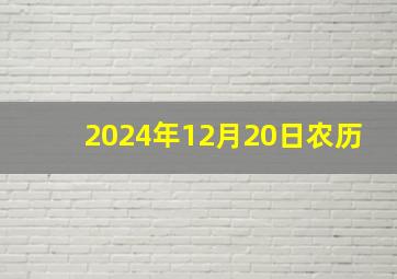 2024年12月20日农历