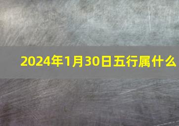 2024年1月30日五行属什么