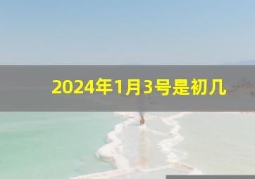 2024年1月3号是初几