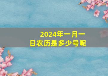 2024年一月一日农历是多少号呢