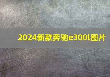 2024新款奔驰e300l图片