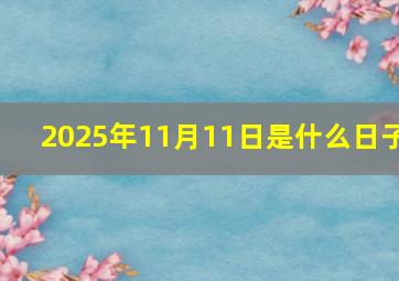 2025年11月11日是什么日子