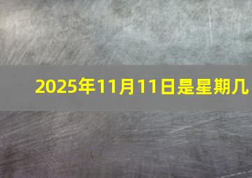 2025年11月11日是星期几