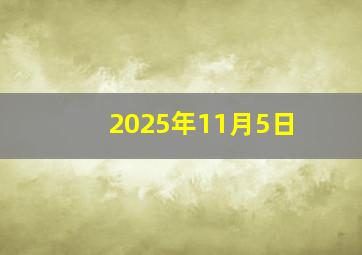 2025年11月5日