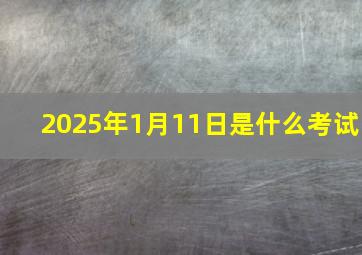 2025年1月11日是什么考试