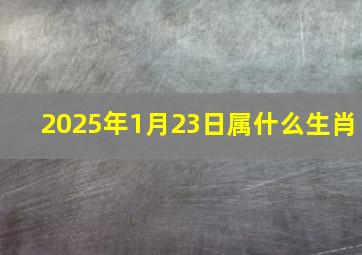 2025年1月23日属什么生肖