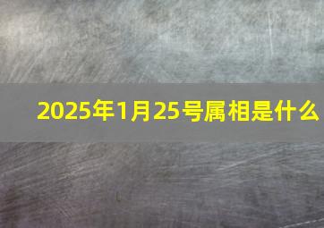 2025年1月25号属相是什么